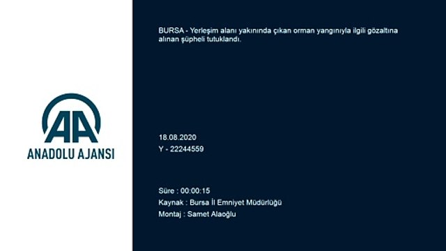 Ormanlık alanda yangın çıkardığı iddia edilen şüpheli tutuklandı - BURSA