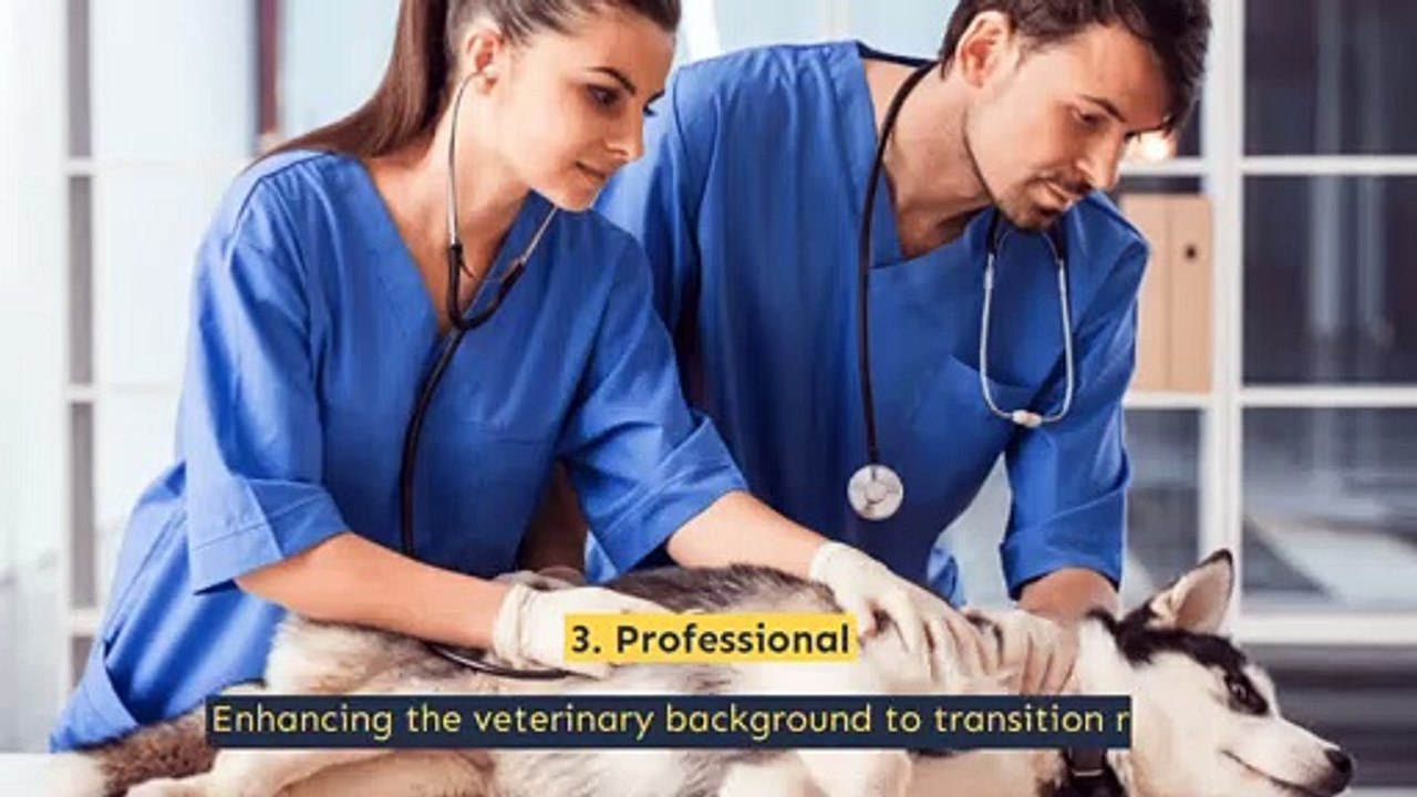 Eminent Clinic for Your Vets