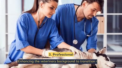 Eminent Clinic for Your Vets