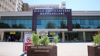 Prof. Dr. Mehmet Akdağ'dan 'Düğünden değil ama halaydan vazgeçin' uyarısı - DİYARBAKIR