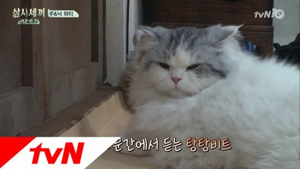 에셰프의 낙지 탕탕 비트 스웩~!!