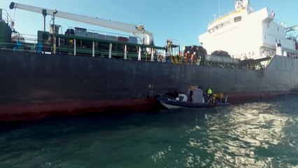 Veszélyben a pápaszemes pingvinek Dél-Afrikában