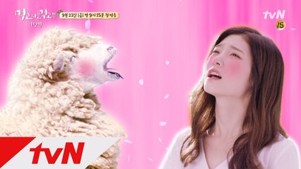 정채연, 부드러움이 온 몸을 감싸고 있어