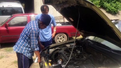 Terrified driver sees cobra slither into her car