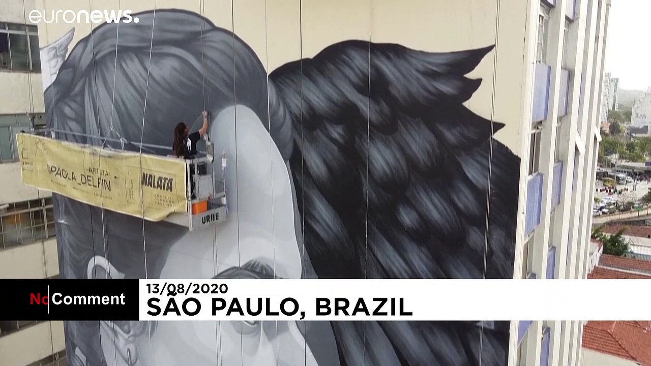 Graffiti artists paint giant murals on tower blocks in Sao Paulo