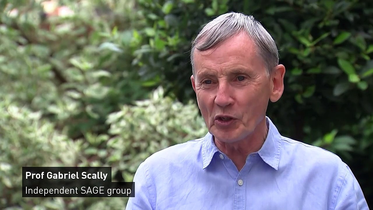 Independent SAGE member says wrong to replace PHE