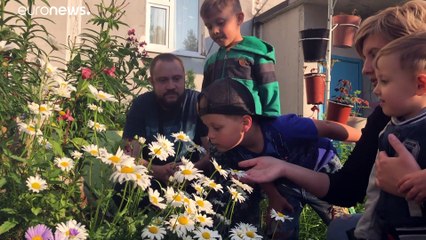 Ромашки и "ветрюги": как за несколько лет изменился сибирский климат?