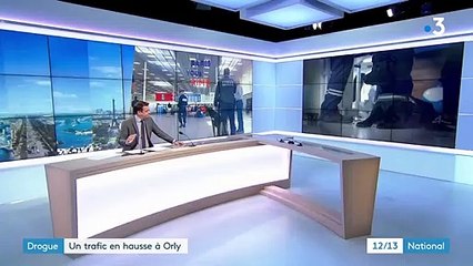 Un maire guyanais interpellé à l'aéroport d'Orly avec 2,5 kilos de cocaïne