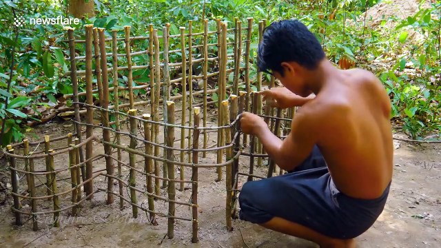 YouTuber builds home for puppies from mud and sticks in Cambodia