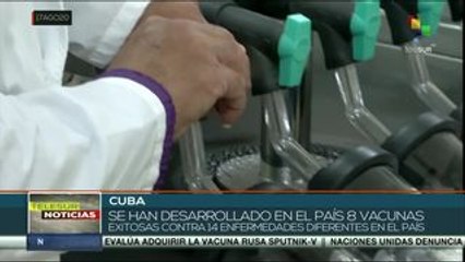 Cuba trabaja en la búsqueda de una vacuna contra la COVID-19