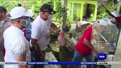 Tranzabilidad de casos en la 24 de diciembre - Nex Noticias