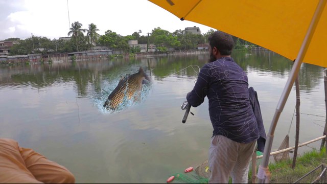 Fish Hunting Big Rohu Fish Hunting and Fishing Fish Catching by Using Fishing Rod