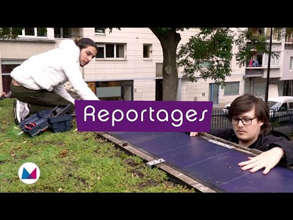 L’École de la Transition Écologique, un avenir plus vert pour les jeunes décrocheurs