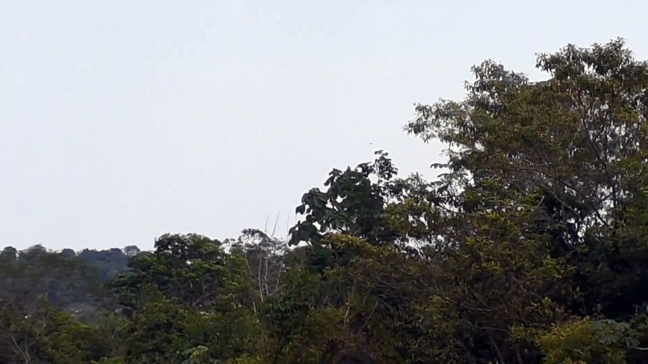 [SBEG Spotting]Boeing 737-800 PR-GUI na final antes de pousar em Manaus vindo de Fortaleza