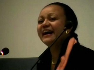 Amiens Municipales 2008 MoDem