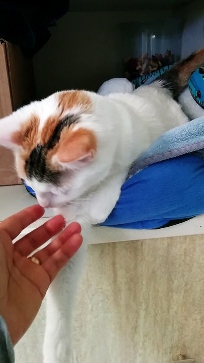 Sophiathecat in your bad so cute