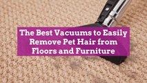 The Best Vacuums to Easily Remove Pet Hair from Floors and Furniture