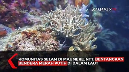 Komunitas Selam bentangkan Bendera Di Episentrum Tsunami Pualu Babi