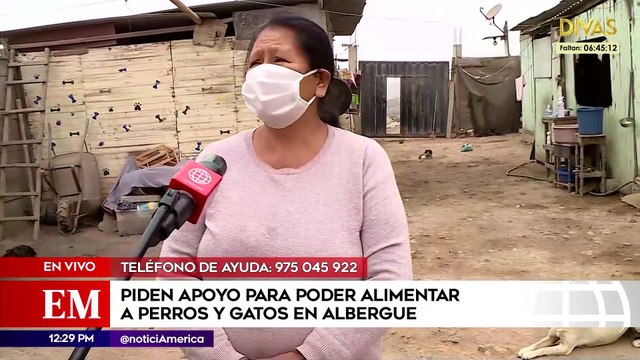 Apoyo para poder alimentar a perros y gatos de albergue | Edición Mediodía (HOY)