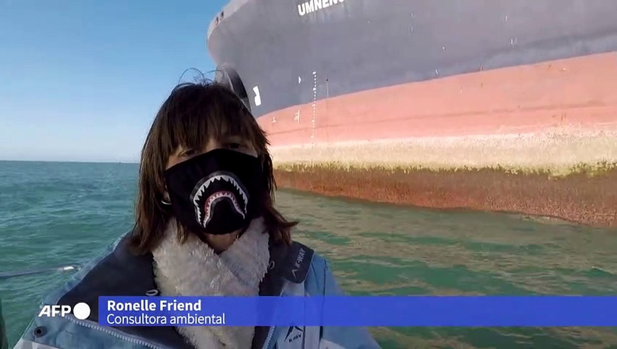 Abastecimento marítimo ameaça pinguins