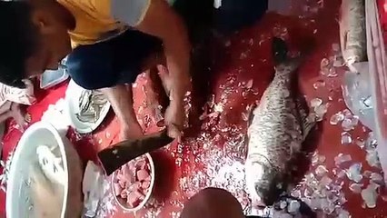 Hi friends, how are you all? We travel to different places in Bangladesh