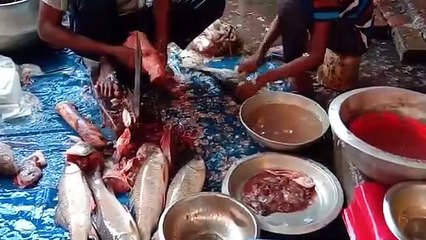 Fish are cut very early in the market .