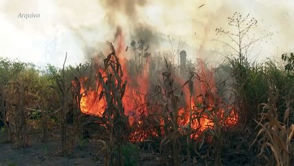 Queimadas na Amazônia
