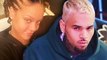 Chris Brown Reacts To Rihanna Dissing Trump