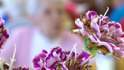 Élections au NB | Plus difficile pour les aînés de voter