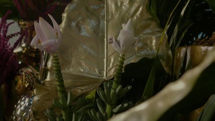 João Paulo de Carvalho Lofiego Moda Infantil Princesas Episódio   (26)