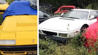 Coleção de Ferrari é encontrada abandonada em terreno baldio