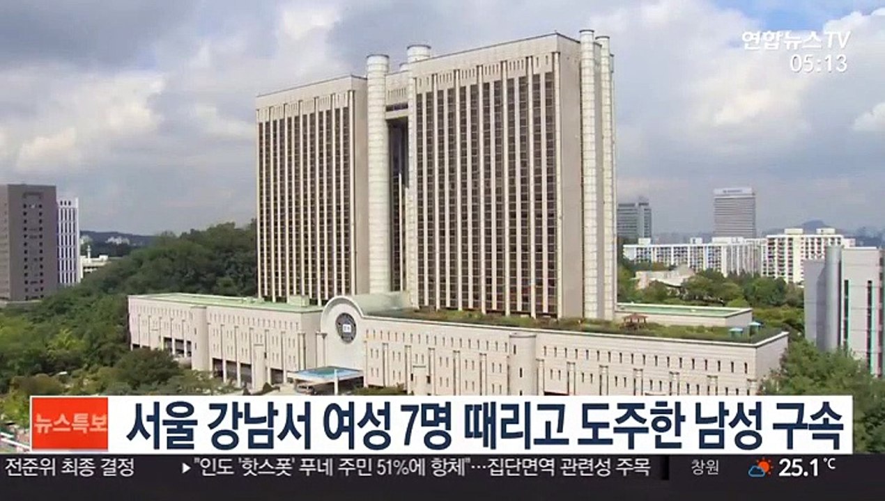 서울 강남서 여성 7명 때리고 도주 30대 남성 구속