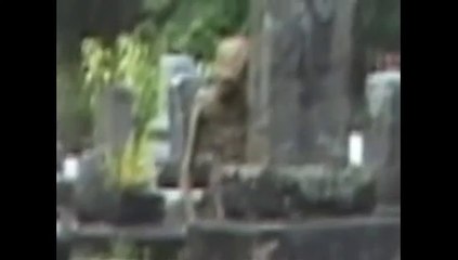 Real Alien Sighting!!!Clearly Seen HIGH QUALITY!!!!!!MUST WATCH!!Spooky