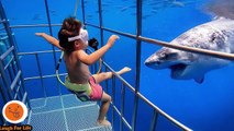 Baby Shark Doo Doo Funniest Babies Reaction To Fish Fishing Fails