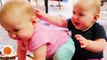 Funny Twins Baby Arguing Over Everything 25 Funny Babies And Pets