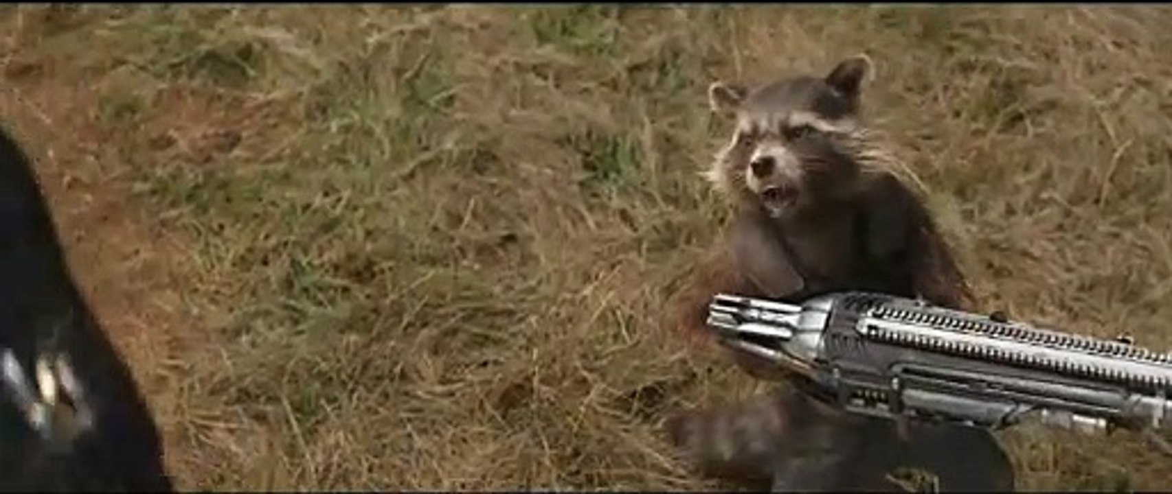 Wakanda fight scene // Avengers Infinity War (2018)