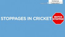 WATCH: Strange reasons  for stoppage of cricket matches | EXTRAS | Cricket @ Dailymotion
