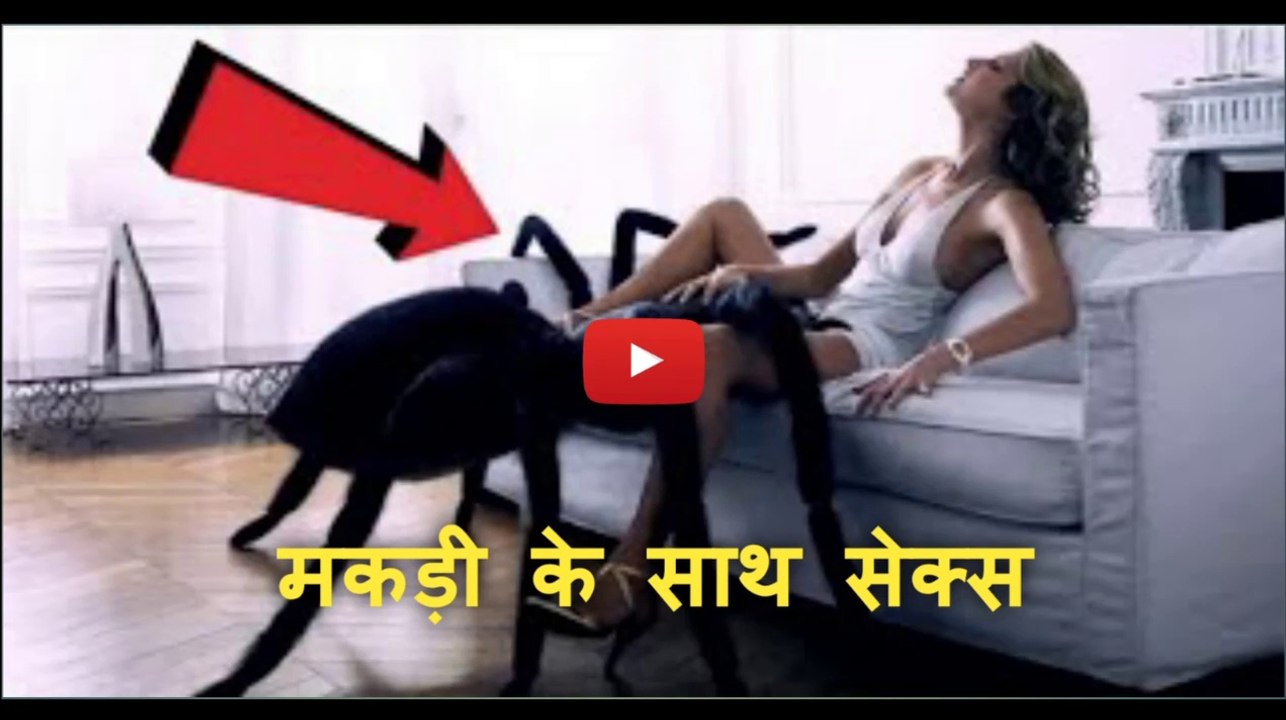 5 सबसे ख़तरनाक जानवर जिन्हें लोग अपने घर में पालते है Most Unusual Pets In The World | New Bollywood