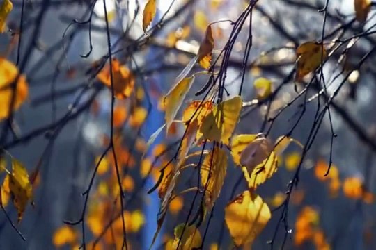 Best Government Jobs|Government jobs in Nepal| Top government jobs in Nepal|Government jobs