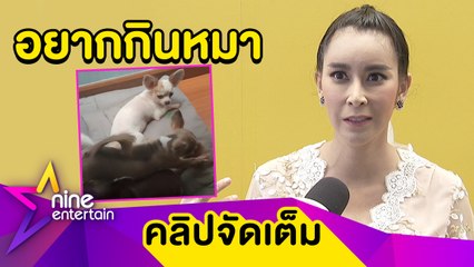 “ใหม่” แพ้ท้องแปลก! อยากกินน้ำชักโครก-สุนัข (คลิปจัดเต็ม)