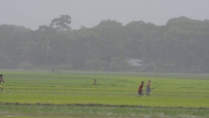 প্রচানীন কালের মত দুই গ্রামের লাটিয়াল বাহিনীর তান্ডব