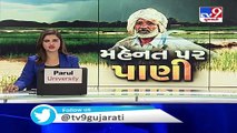 Bharuch- Waterlogged fields damage crops in Jambusar, authorities conduct survey - TV9News