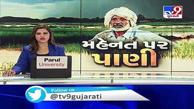 Bharuch- Waterlogged fields damage crops in Jambusar, authorities conduct survey - TV9News