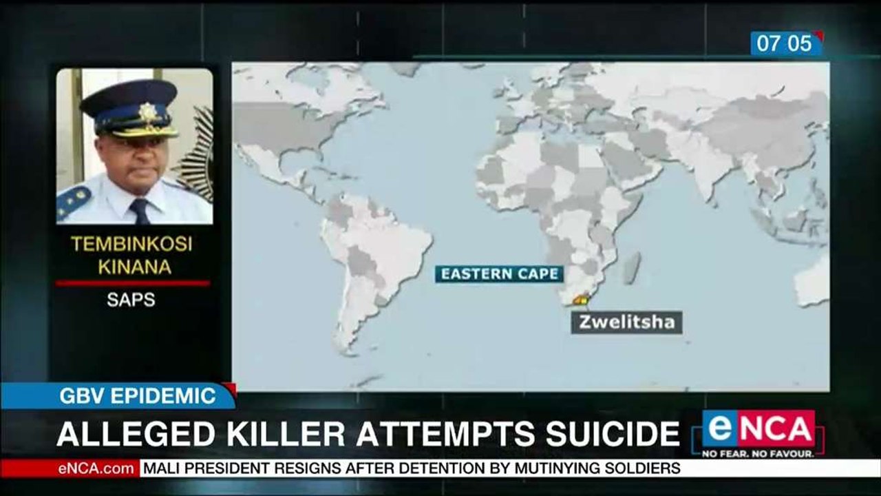 Alleged killer attempts suicide