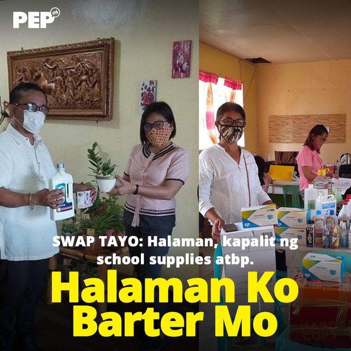 "Halaman Ko, Barter Mo" teachers exchange plants for school supplies