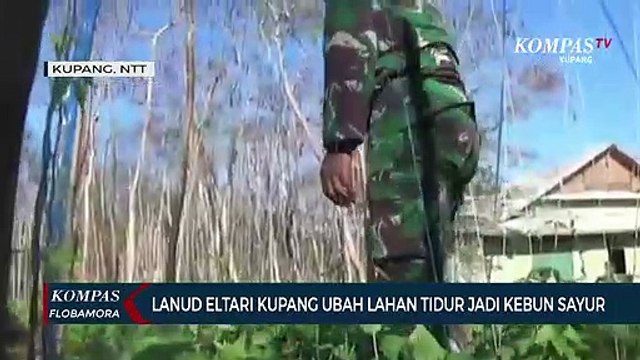 Lanud El Tari Kupang Ubah Lahan Tidur Jadi Kebun Sayur