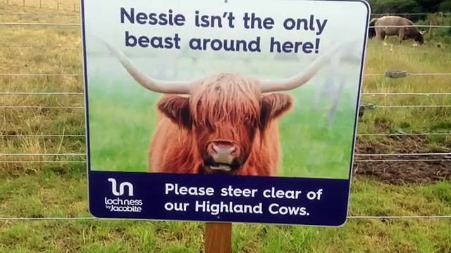 Loch Ness cruise boat Dochgarroch near Inverness