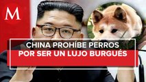 Kim Jong-un prohíbe tener perros como mascotas en Corea del Norte
