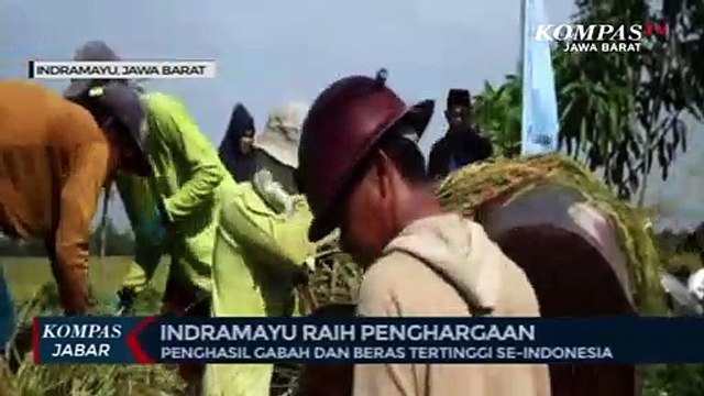 Gabah Dan Beras Melimpah, Tapi Ko Masih Impor?