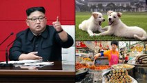 North Korea : కుక్క మాంసం తిందాం..పెంపుడు కుక్కల్ని అప్పగించాలంటూ Kim ఆదేశం!